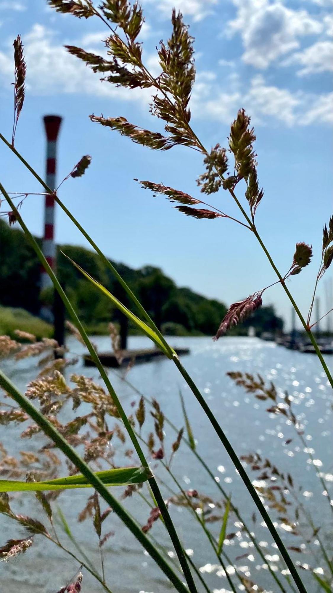 Fischerhaus Blankenese Хамбург Екстериор снимка