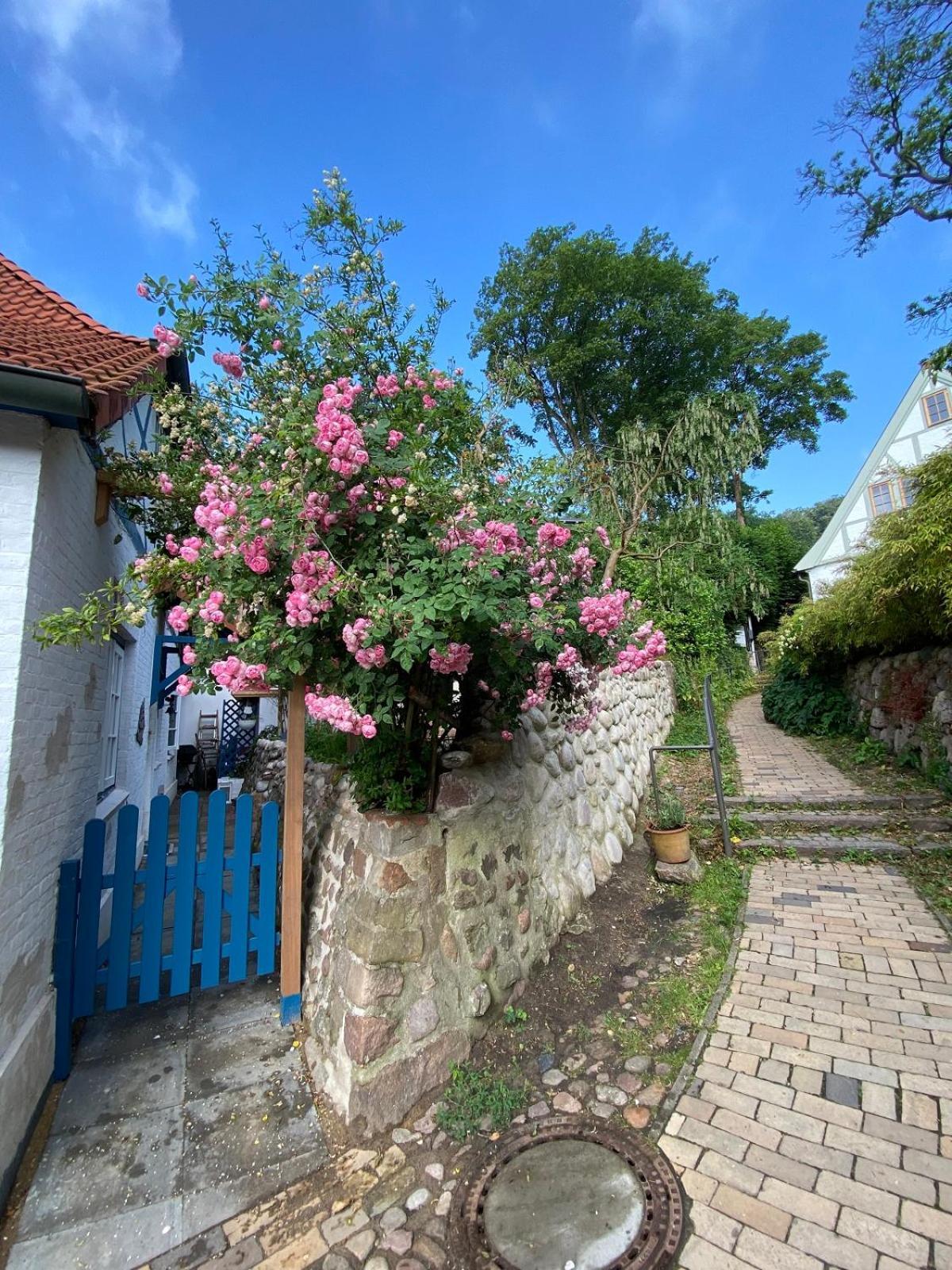 Fischerhaus Blankenese Хамбург Екстериор снимка